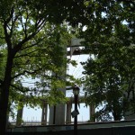DSC00491
