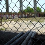 DSC00500