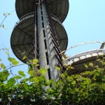 DSC00531