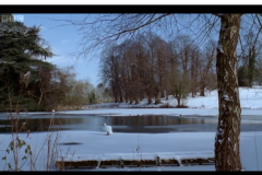 Screen-shot-2009-10-12-at-3_54_58-AM