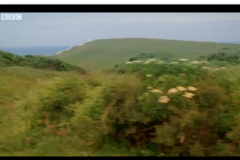 Screen-shot-2009-11-05-at-5_54_39-PM